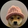 An image of the dogwifcoin (wif) crypto token logo