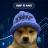 Een afbeelding van het DogWifHat (wif) cryptotoken-logo