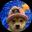 An image of the Dogwifhat BSC (wif) crypto token logo