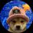 An image of the Dogwifhat BSC (wif) crypto token logo