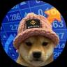An image of the Dogwifhat BSC (wif) crypto token logo