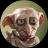 DorkOrdinalBitcoinBinance (dobby) क्रिप्टो टोकन लोगो की छवि