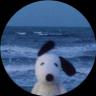 An image of the Doug (doug) crypto token logo
