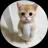 Изображение логотипа крипто-токена el gato (elgato)