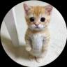 Изображение логотипа крипто-токена el gato (elgato)