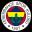 Изображение логотипа крипто-токена Fenerbahçe (fb)