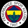 Изображение логотипа крипто-токена Fenerbahçe (fb)