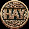 An image of the HayCoin (hay) crypto token logo