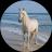 Изображение логотипа крипто-токена HORSE COIN (horse)