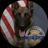 Изображение логотипа крипто-токена K-9 Killed in Shootout (titan)