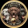 Изображение логотипа крипто-токена LabradorBitcoin (labi)
