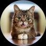 Изображение логотипа крипто-токена lil bub on Sol (bub)