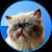En bild av Mister Miggles (miggles) kryptotoken-logotypen
