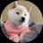 Изображение логотипа крипто-токена New Doge (gnocchi)