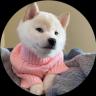 Изображение логотипа крипто-токена New Doge (gnocchi)