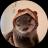 Изображение логотипа крипто-токена Otty the Otter ($otty)