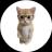 Изображение логотипа крипто-токена PHDKitty (phdkitty)