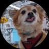 An image of the Qubit The Quantum Dog (qubit) crypto token logo