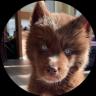 Изображение логотипа крипто-токена Red Siberian Husky (kovu)