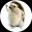 Una imagen del logo del token cripto Shrub ($shrub)