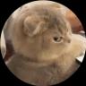 Изображение логотипа крипто-токена Side Eye Cat (sec)
