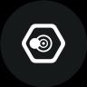 SNPIT TOKEN (snpt) क्रिप्टो टोकन लोगो की छवि
