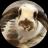 Solport Tom's bunny Lola (lola) 加密代币标志图片