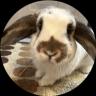 Solport Tom's bunny Lola (lola) 加密代币标志图片
