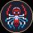 Изображение логотипа крипто-токена SpiderSwap (spdr)