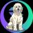 Stream Guys Dog Lily ($lily) 加密代幣標誌的圖像