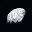 tardigrade (tardi) 加密代币标志图片