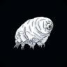 tardigrade (tardi) 加密代币标志图片