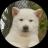 Uma imagem do logotipo do token cripto Toshi (toshi)