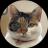 An image of the Totakeke's Sister (mike) crypto token logo