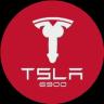 Larawan ng logo ng TSLA6900 (tsla) crypto token