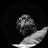 Et billede af Voice of the Gods by Virtuals (adm) kryptotoken-logo