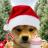 Wifmas (wifmas) 加密代币标志图片