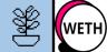 SEED-WETH 交易對